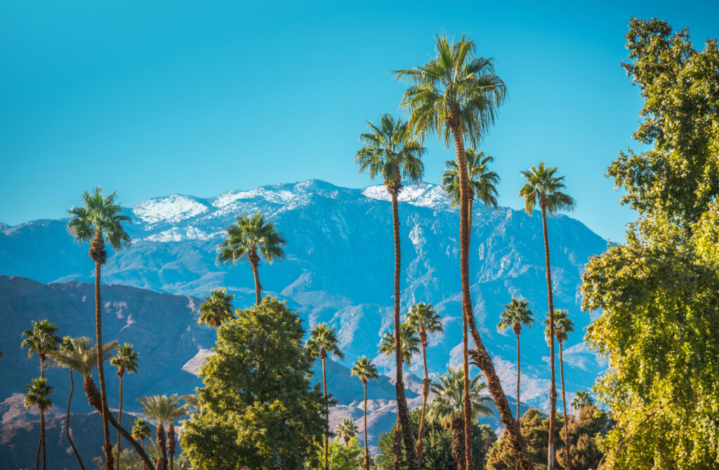 Romantic Bliss in Palm Springs and Palm Desert - IntervalWorld