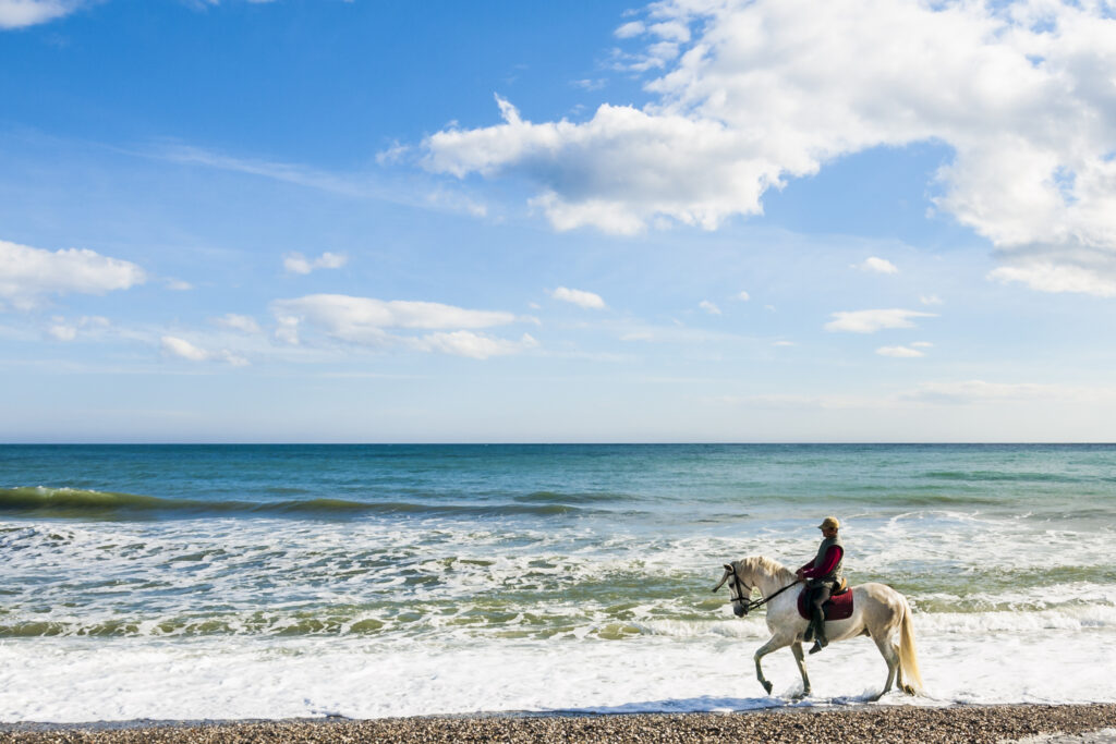 Adult man rides a white spanish horse with the Mediterranean Sea on the background