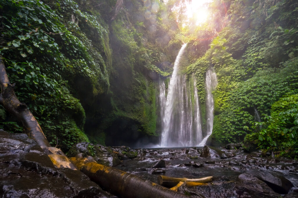 Layered water flows, cool air and green scenery are attractions that you can enjoy when you visit Tiu Kelep waterfall in Lombok, Indonesia.