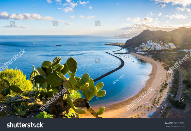 Water’s Edge in the Canary Islands